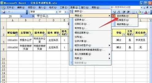 2003excel表格怎么做自动筛选