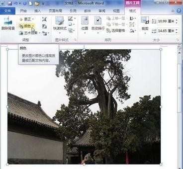 word2010如何设置图片尺寸