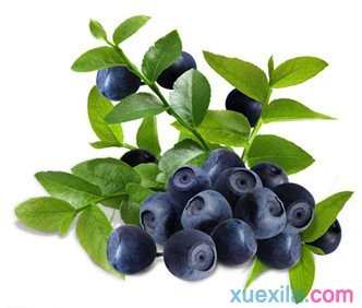 孕妇血糖高能吃蓝莓吗_孕妇血糖高吃蓝莓好吗