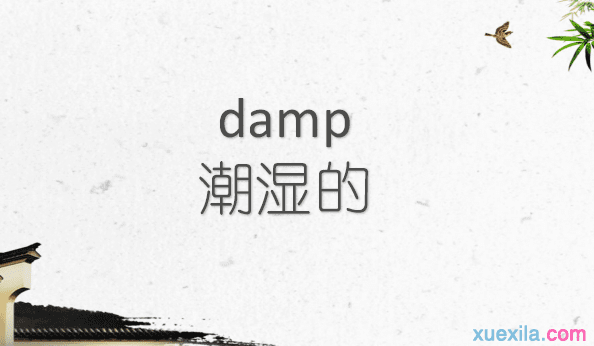 damp是什么意思 damp的英文意思