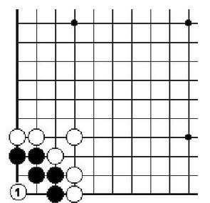 围棋的基本知识眼与活棋