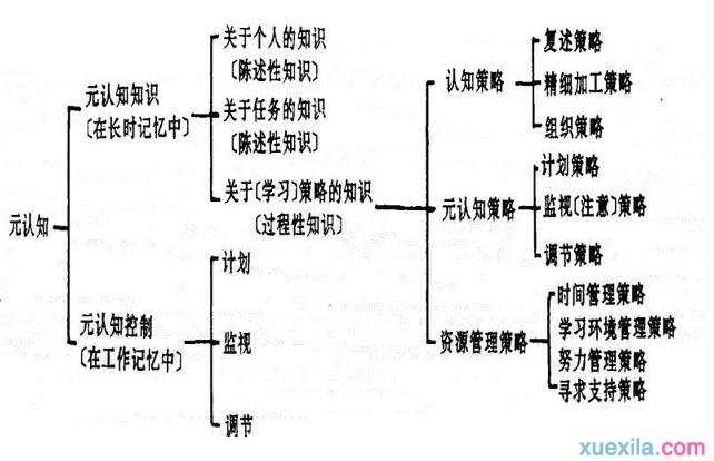 什么是认知策略 认知策略的内容