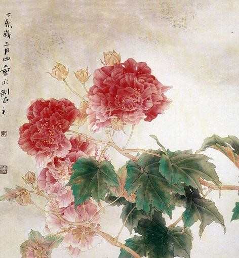 国画芙蓉花图片大全_四季芙蓉花图片大全