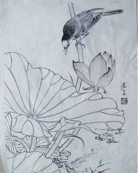 花鸟铅笔画图片_铅笔画图片大全