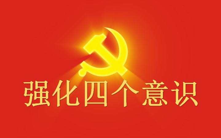 党员四个意识心得体会