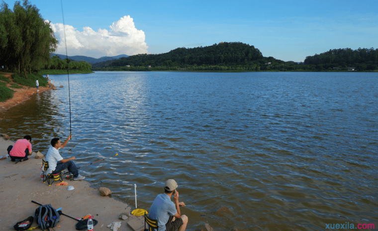 夏季钓草鱼所需技巧 夏季钓草鱼实用技巧