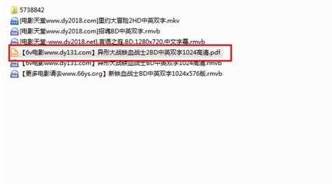 迅雷下载电影成为PDF格式打不开怎么办