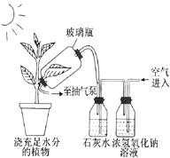 初中毕业班教学质量监测试题生物试卷