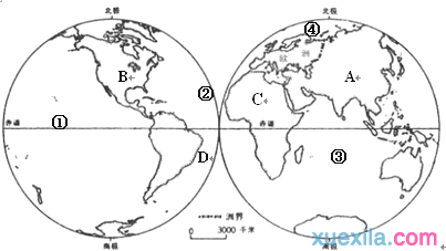 七年级上学期地理阶段检测试题