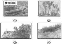 高中地理必修二可持续发展的基本内涵练习卷