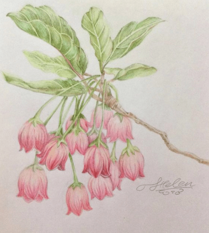 简单花卉色彩装饰画