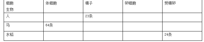 八年级下册生物《基因在亲子代间的传递》练习试卷