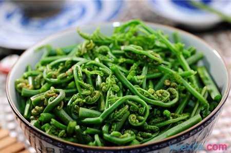 糖尿病可以吃蕨菜吗_糖尿病能吃蕨菜吗