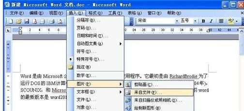 Word 2003怎么设置四周型环绕图片