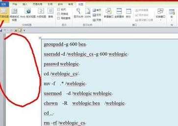 word2010大纲怎么显示_word2010如何使用大纲视图