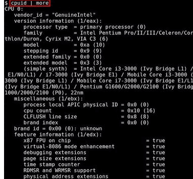 Linux如何查看cpu信息