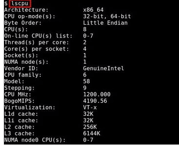 Linux如何查看cpu信息