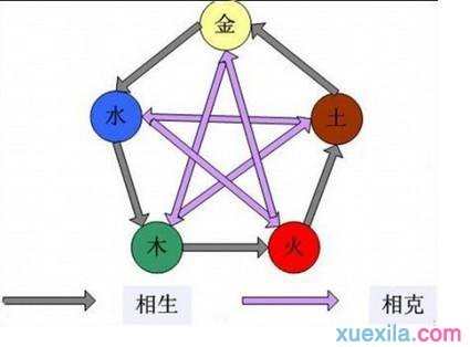 阴阳五行与中医怎样分类