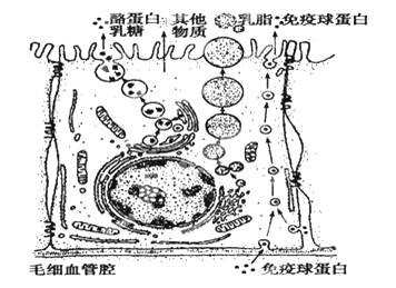 2017人教版高三生物名校试题精选