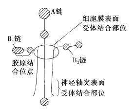 2017人教版高三生物名校试题精选