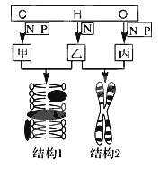 2017人教版高三生物名校试题精选