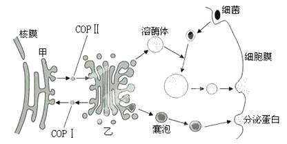 2017人教版高三生物名校试题精选