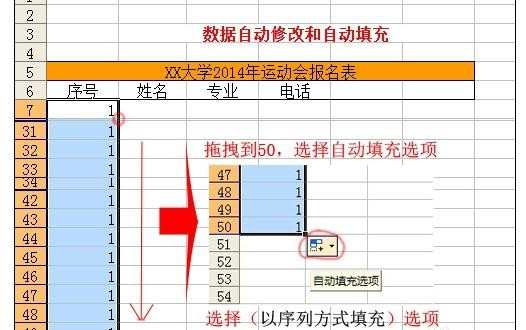 excel表格的数据填充和修改