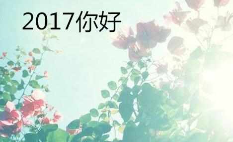 2016最后一天经典祝福短信