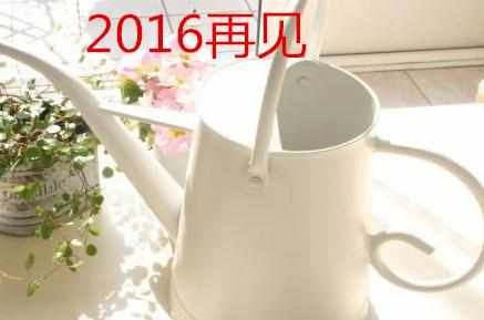 2016最后一天经典祝福短信