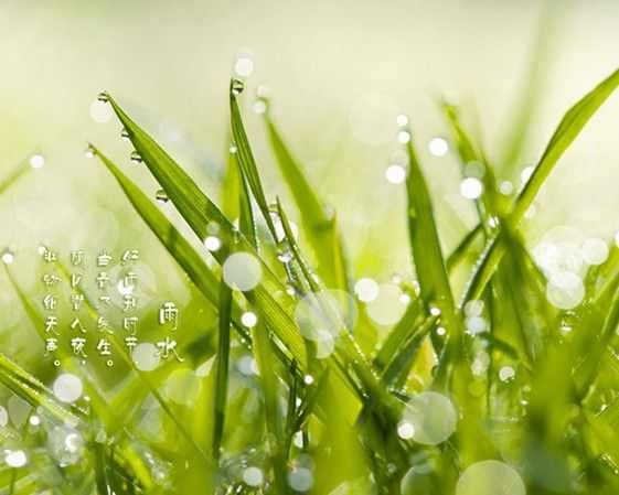 雨水和谷雨有什么区别_雨水和谷雨的区别