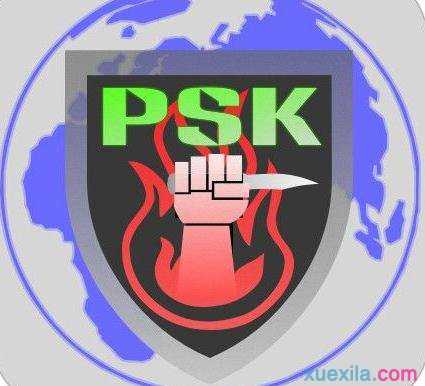 什么是psk psk优缺点