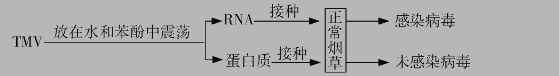 高一上册生物第三章测试试卷