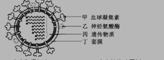 高一上册生物第三章测试试卷