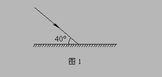 人教版初二上册物理《光的反射》检测试题及答案