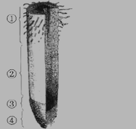 初二上册生物第三单元第五章练习试题