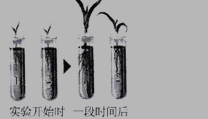 初二上册生物第三单元第五章练习试题