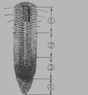 初二上册生物第三单元第五章练习试题