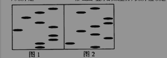 高一下册生物第六章练习试题