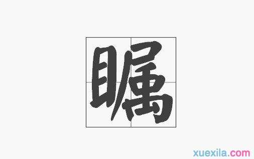 瞩字相关的成语及解释