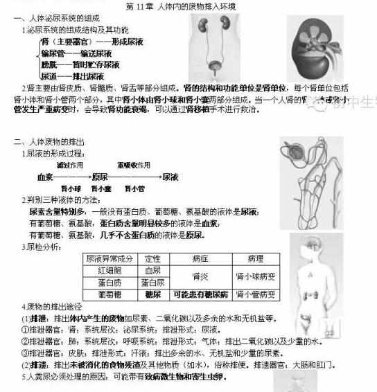 苏科版七年级生物知识点总结