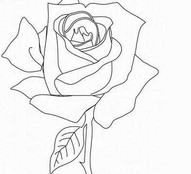 玫瑰花的简笔画图片