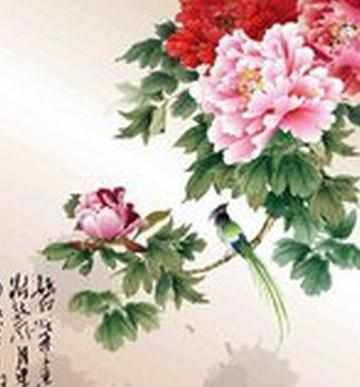 花鸟鱼虫中国画简笔画图片