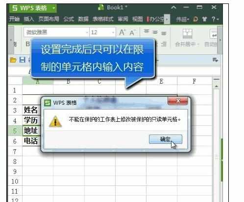 Excel表格中限制别人修改工作表的操作方法