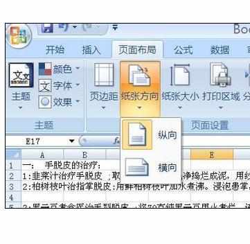 Excel中设置页面方向的操作方法