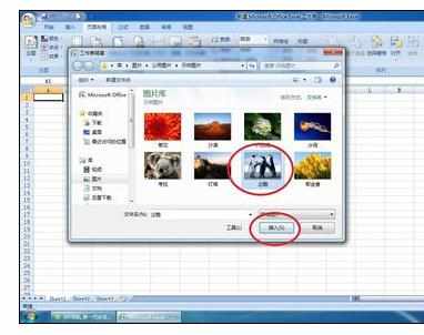 Excel2007中插入及删除大背景的操作方法