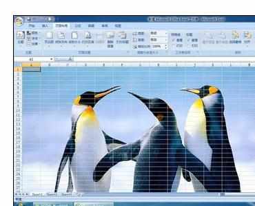 Excel2007中插入及删除大背景的操作方法