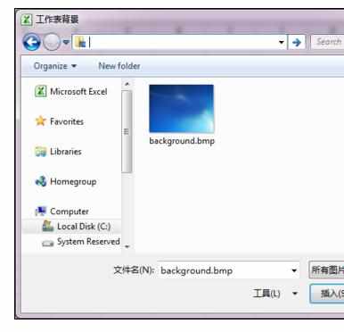 Excel2010中设置整个工作表背景图片的操作方法