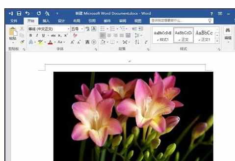 Word2013中进行图片样式的设置方法