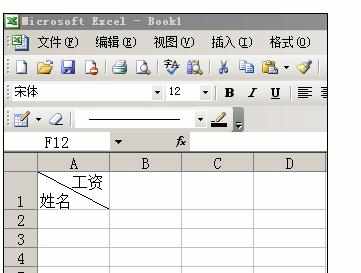 Excel表格中单元格插入斜线并打字的方法