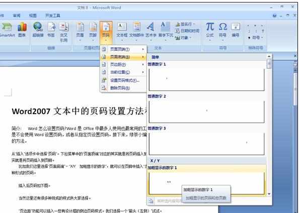 Word2007中设置页码的操作技巧